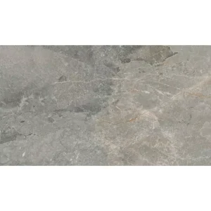 DELLUCCI FIRENZE 60X120 P GRIS MT R PRI